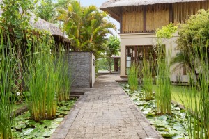 Villa Mary - Entrance Path